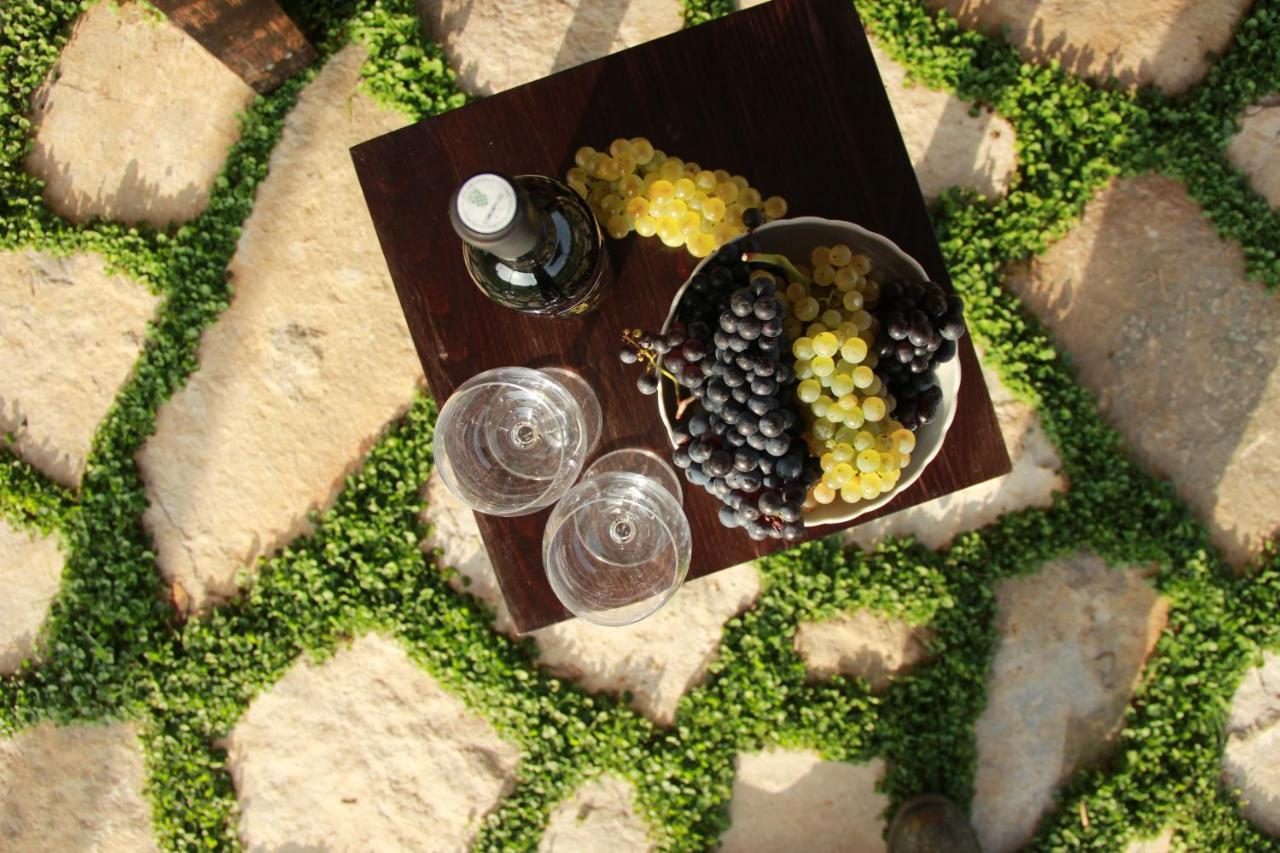 Vineyard Eco Cottage Near Dubrovnik Gruda Exterior photo
