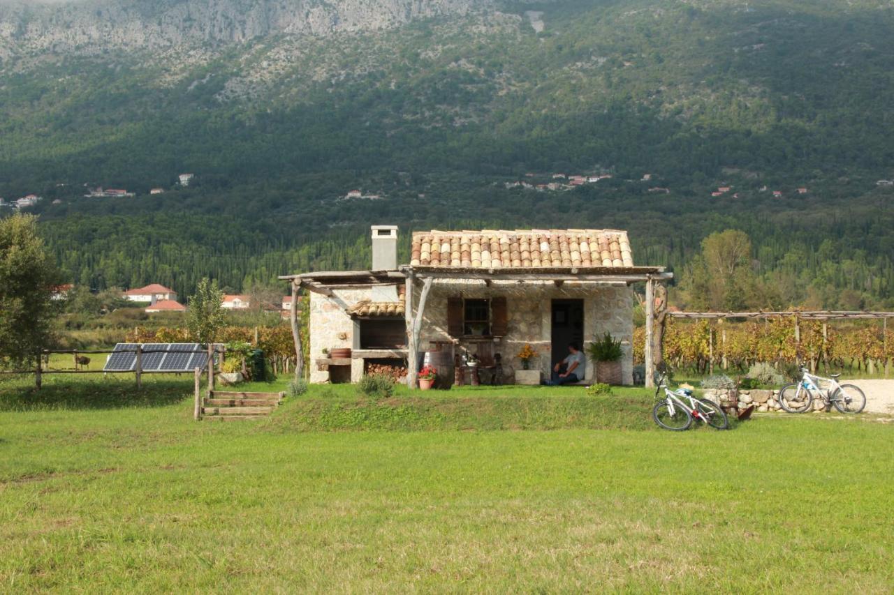 Vineyard Eco Cottage Near Dubrovnik Gruda Exterior photo