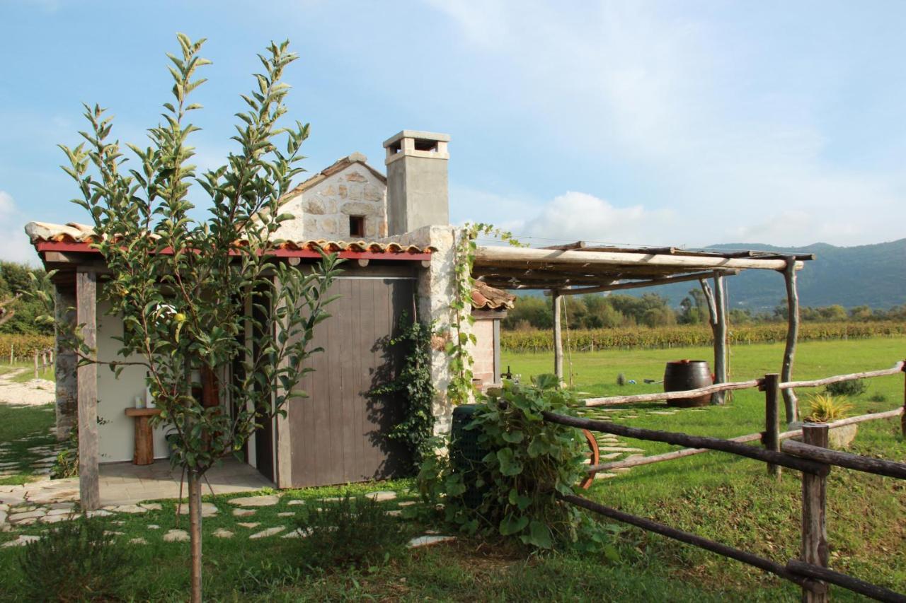 Vineyard Eco Cottage Near Dubrovnik Gruda Exterior photo